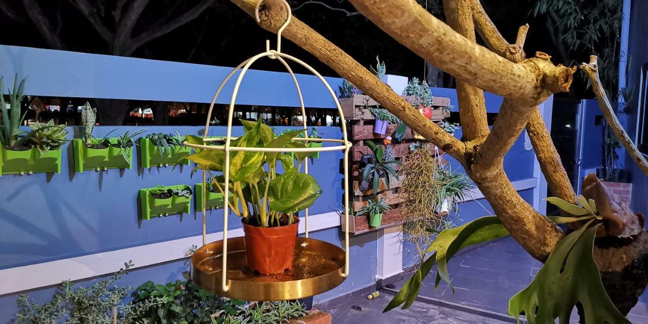 Oneriimba Private Pool & Garden Johor Bahru